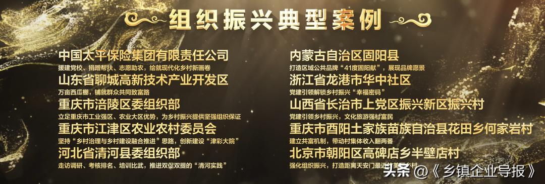 乡村振兴赋能计划人才典型案例,乡村振兴之文化振兴案例