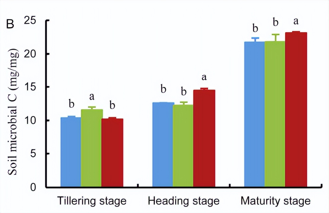 促进水稻氮素吸收利用的途径,促进水稻根系生长的措施