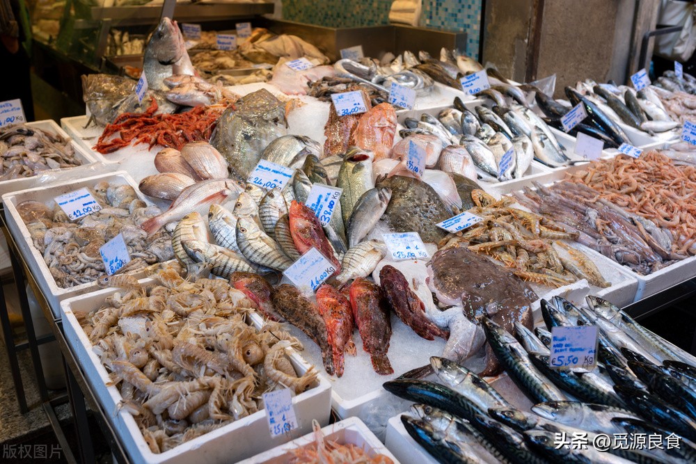 冬天吃鱼时令养生,妙招冬天吃鱼内行人专挑这5种