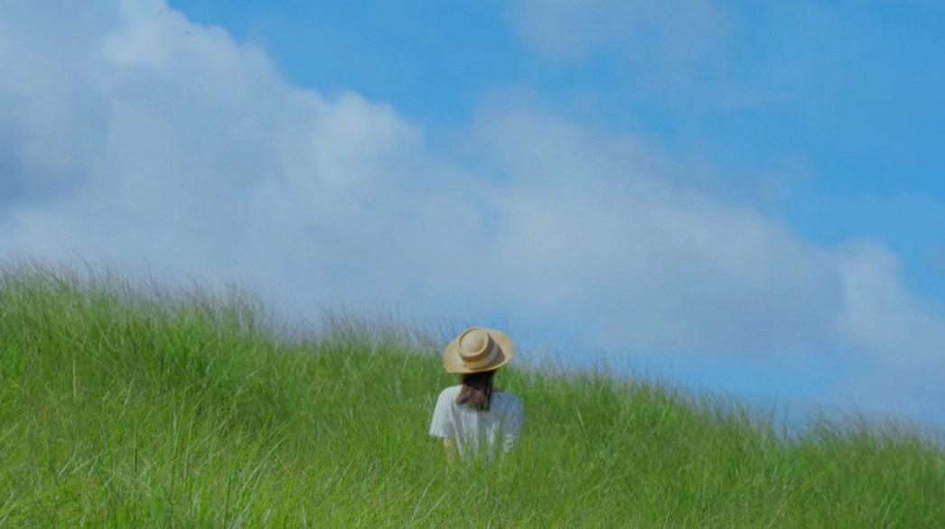 山东有海有雪有山有平原,山东有没有广阔草原