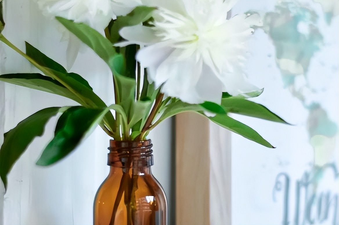 怎样判断一个女人干净,判断一个女人是否有气质