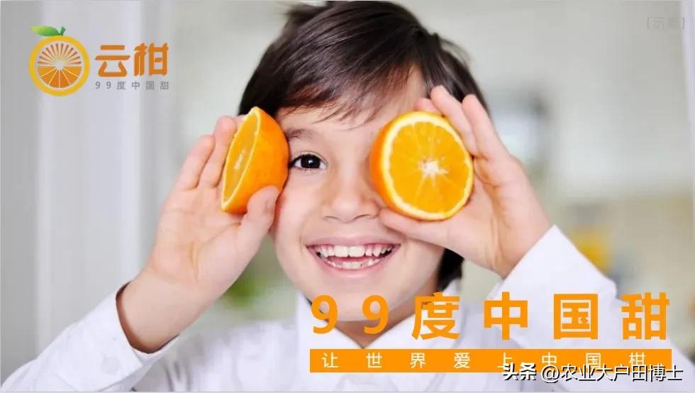 沃柑品牌策划核心竞争力如何提高,沃柑品牌推荐