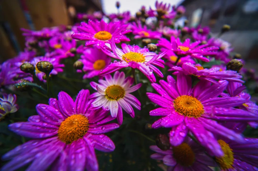 鑰佽洐15mmf4.5绉昏酱闀滃ご,鑰佽洐7.5f2璇勬祴