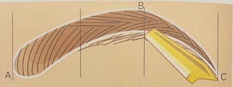 如何修眉型女生,如何修眉毛