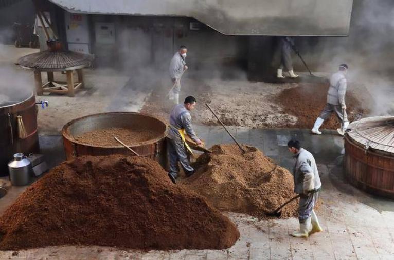 最好吃的高粱是什么品种,高粱的品质差别