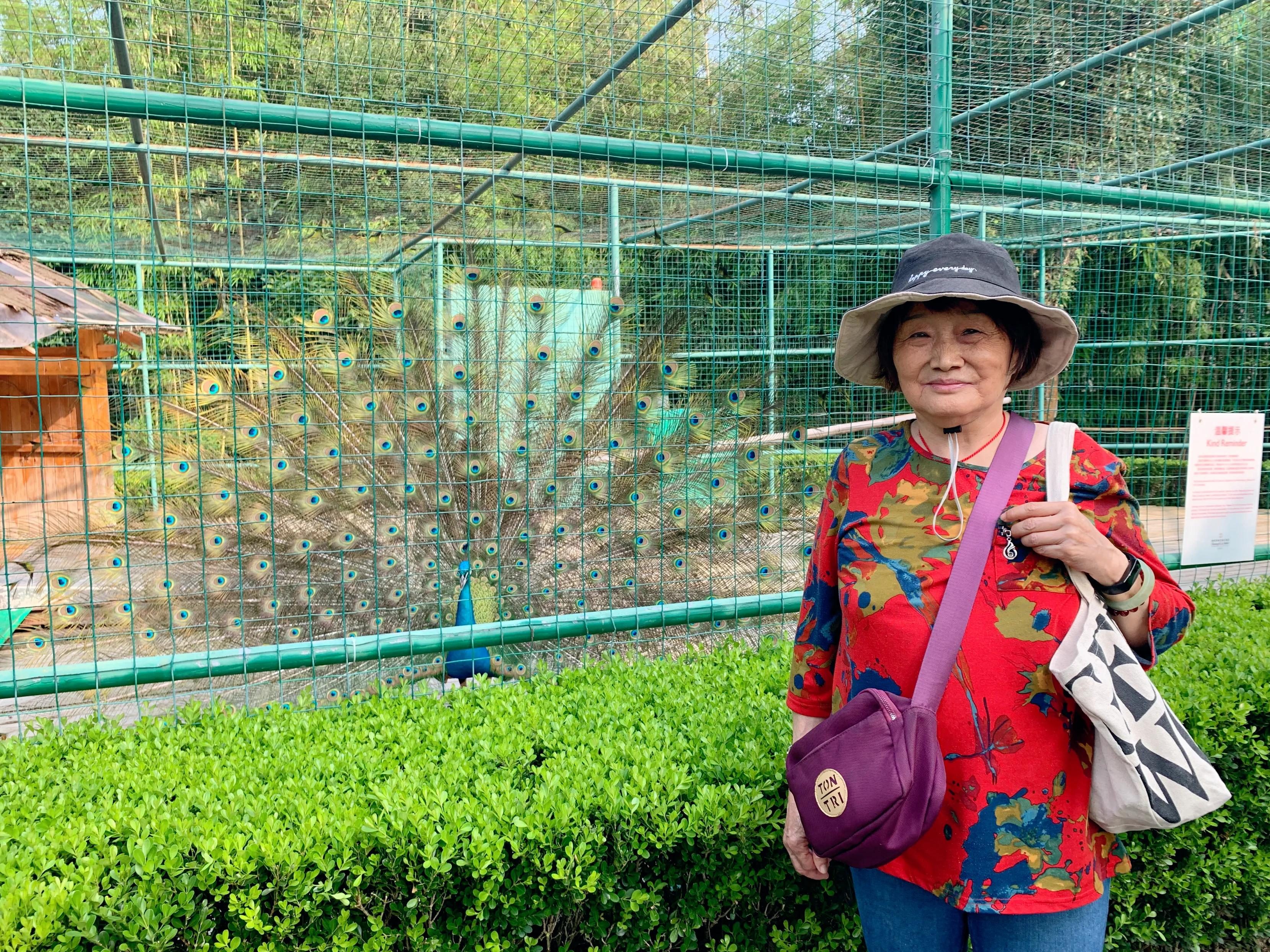 桂林香格里拉酒店攻略,桂林香格里拉大酒店简介