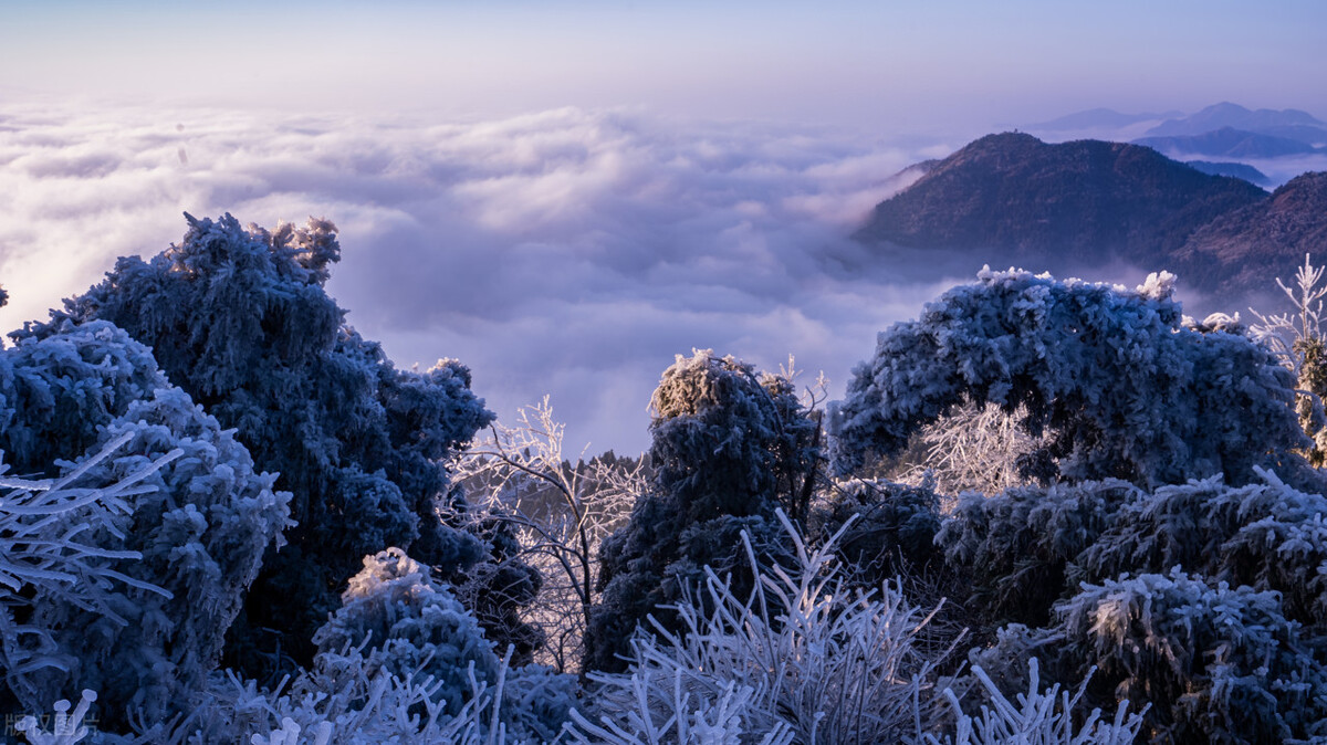 历代诗话选注在线阅读,历代诗话续编