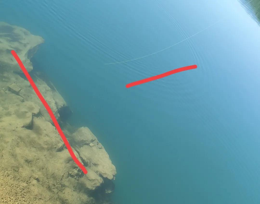 鳜鱼吃跟自己体型一样大的鱼,鳜鱼为什么不吃很小的鱼