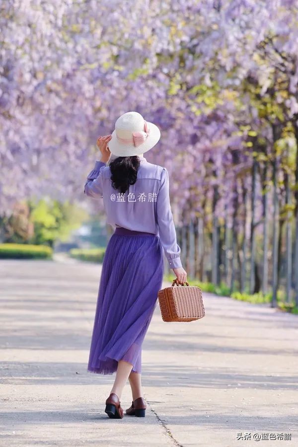 暮春时节紫藤花开,紫藤花开暮春到来