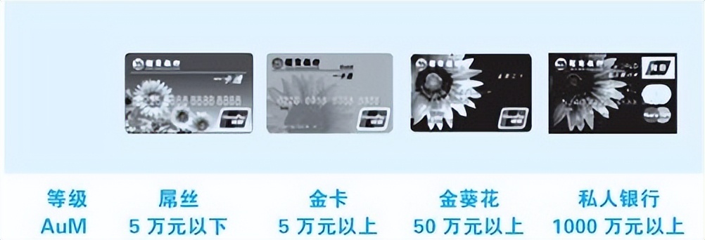 风口的猪全部小说,风口上的猪完整版