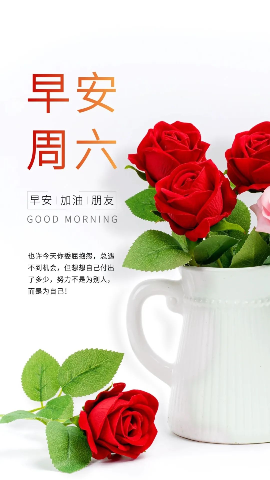 新的一周早安正能量句子图文,早安语录大全图文