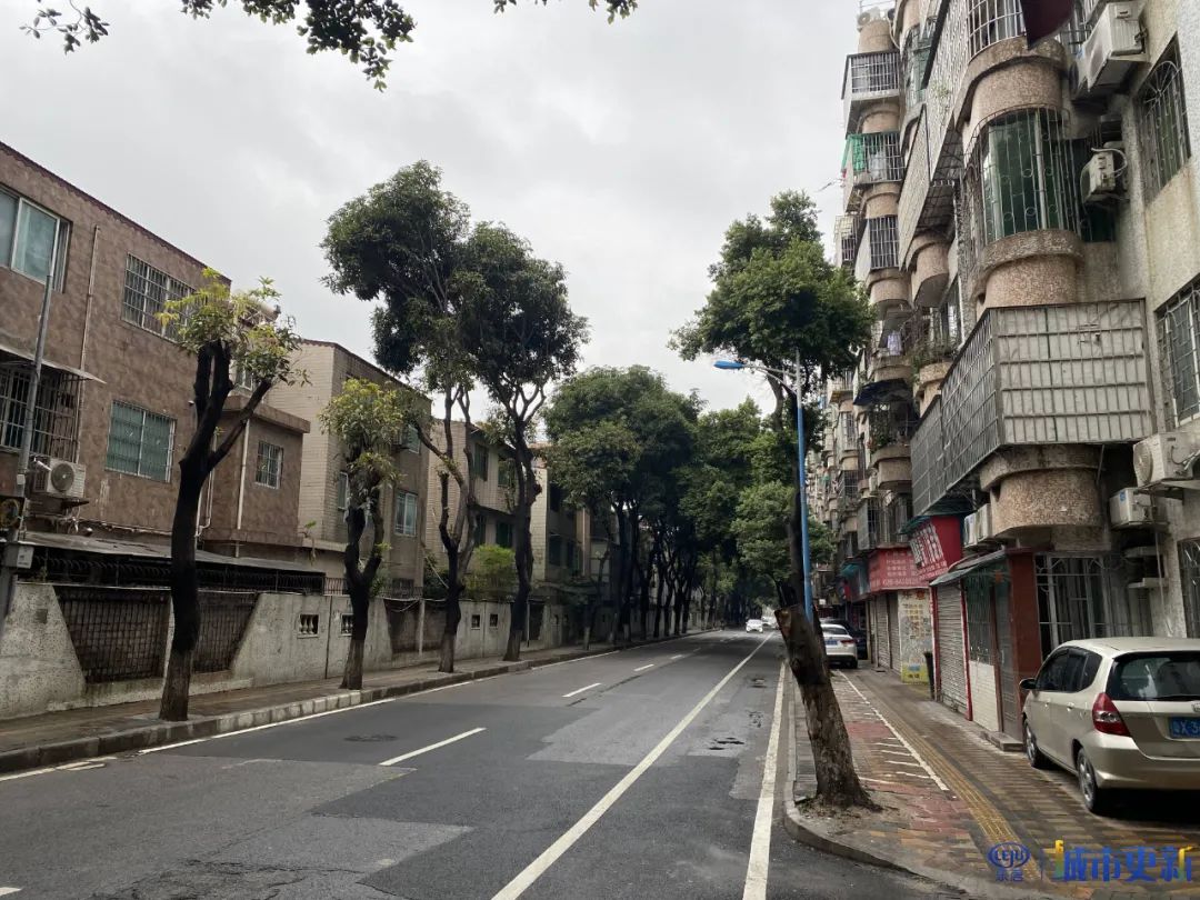 看看洛溪新城03年的样子,洛溪新城房价升值潜力