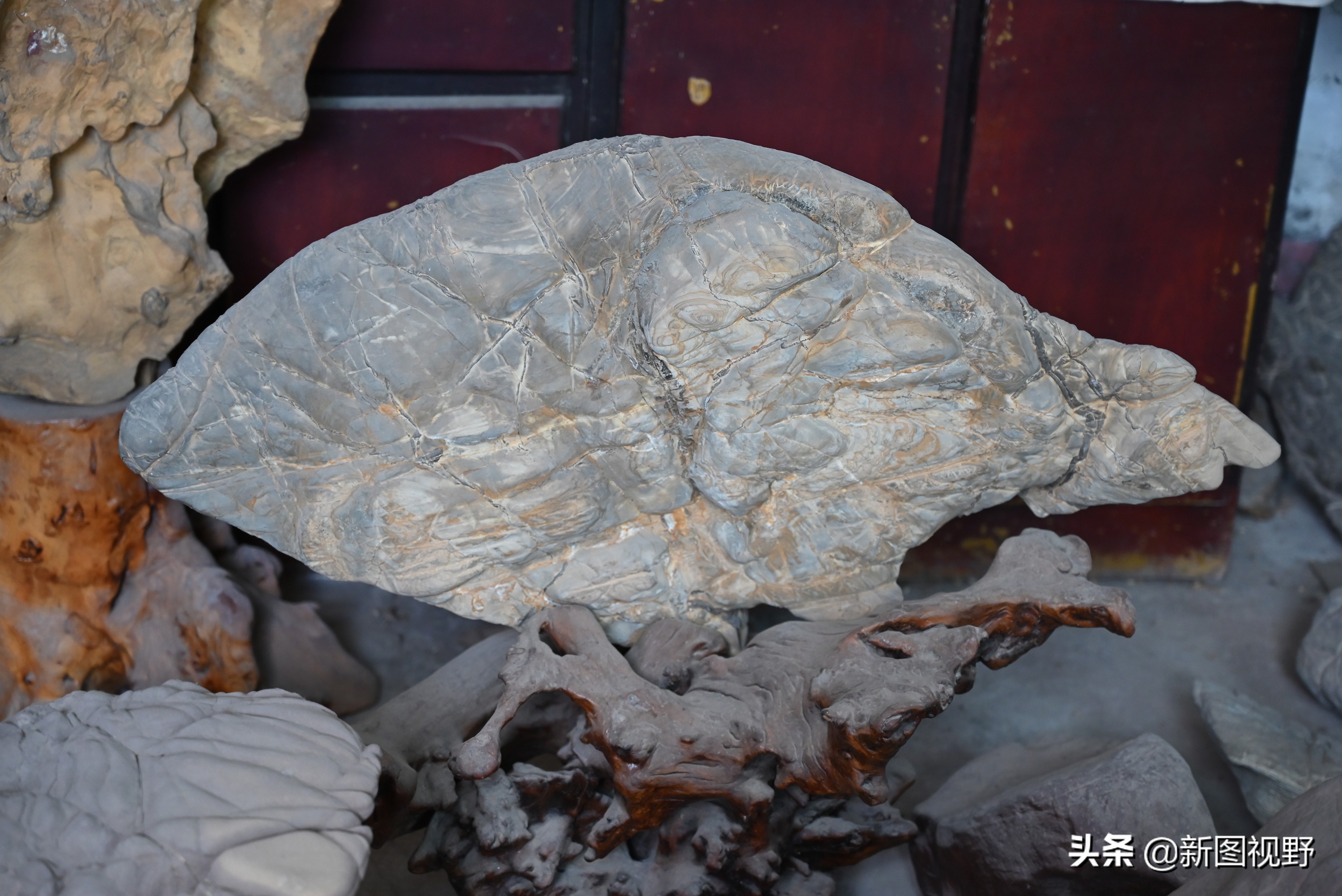 60岁大爷做什么生意好呢,66岁大爷摆摊生意