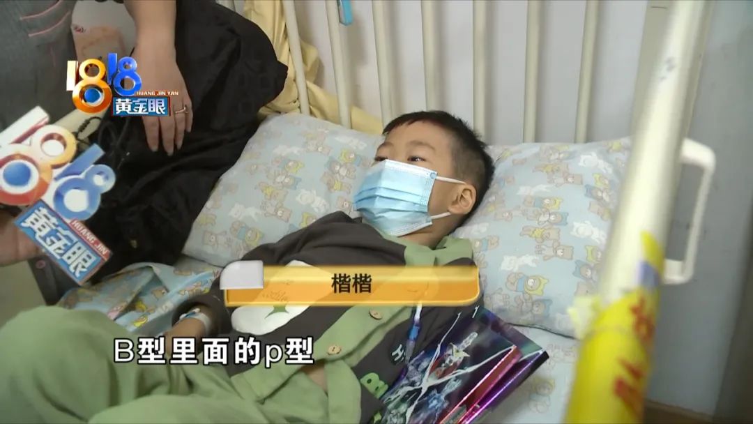 罕见的p型血,p型血好处和坏处