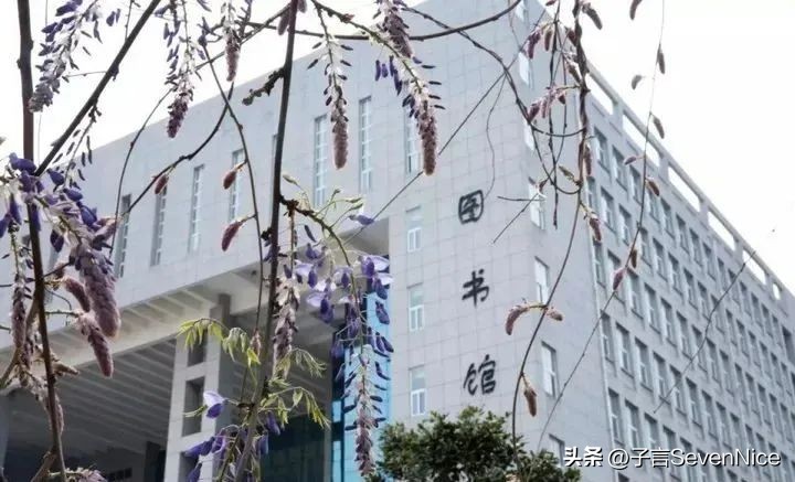 江西现代学院真实感受,江西现代学院最新信息