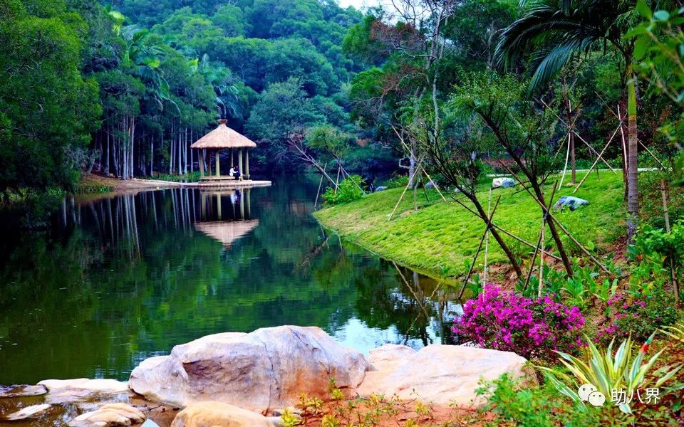 厦门大学嘉庚学院嘉庚精神,厦门大学嘉庚学院中华传统文化