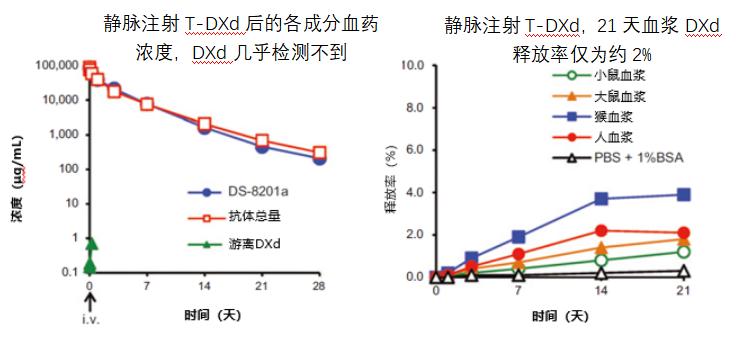 her2抗体偶联物恩美曲妥珠,her2的新型抗体药物偶联物
