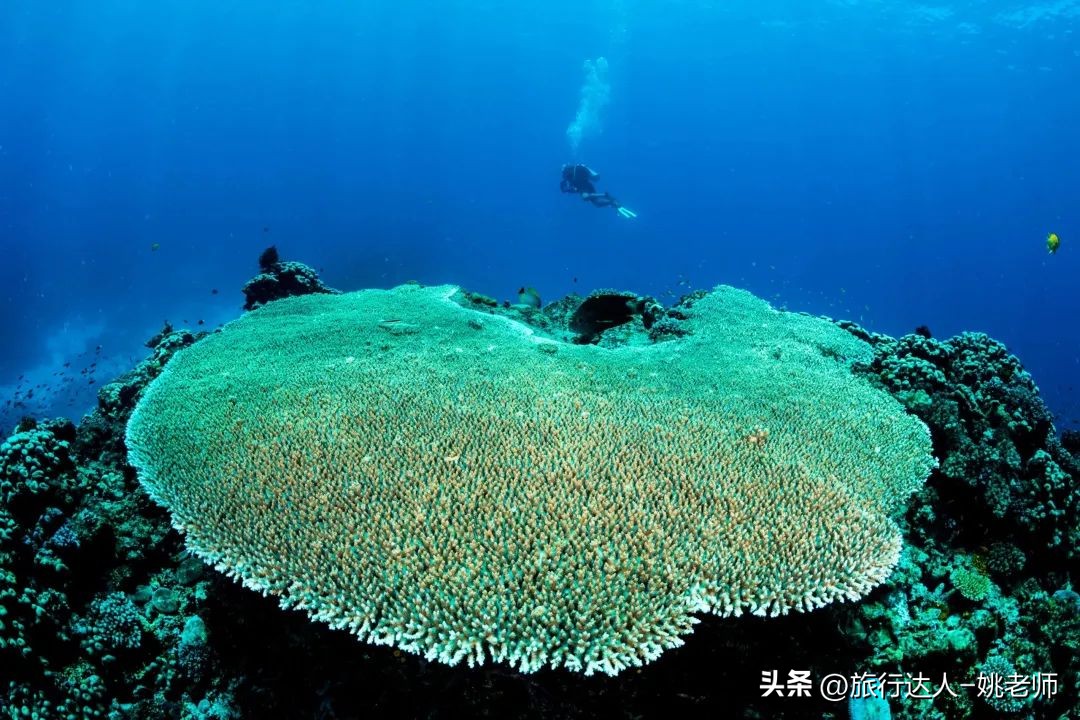 斐济私人度假岛屿预订,斐济豪华度假村