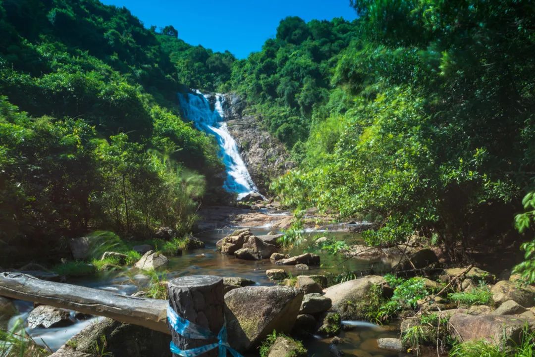 收藏打卡！坪山区原来有这么多地方可以逛，免费又好玩