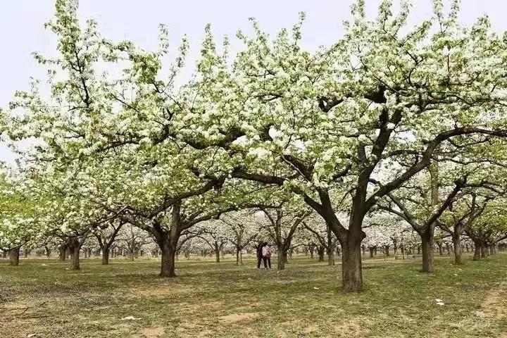 北京房山最美城区,北京的大美房山区