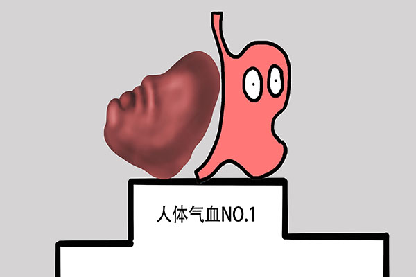 中医气虚则肥血虚则瘦是什么意思,胖是气虚瘦是血虚这句话对吗