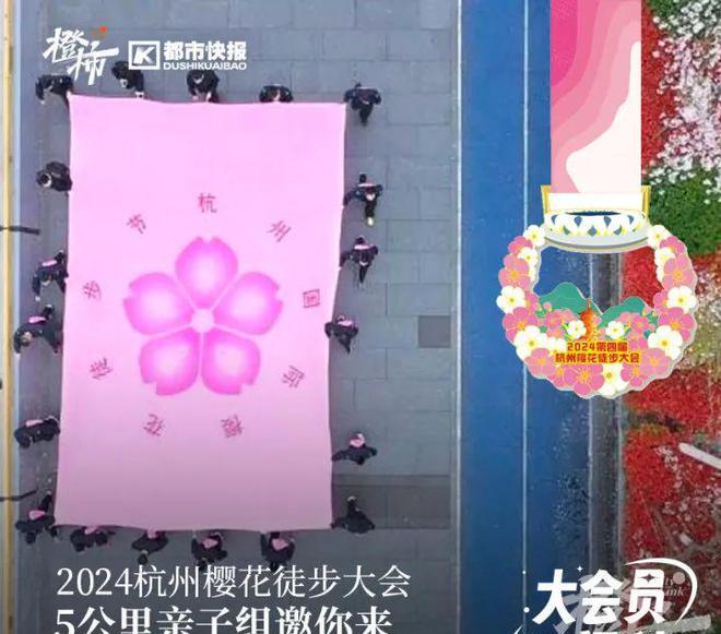 揭秘橙柿互动：宠物用品大揭秘，亲子成长父母必读