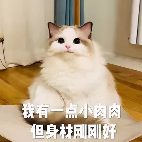 徐峥辟谷减肥视频,徐峥减肥25斤真实视频