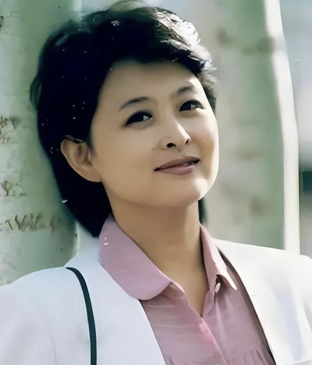 央视春晚再也见不到的十位主持,央视退休男主持人名单和照片