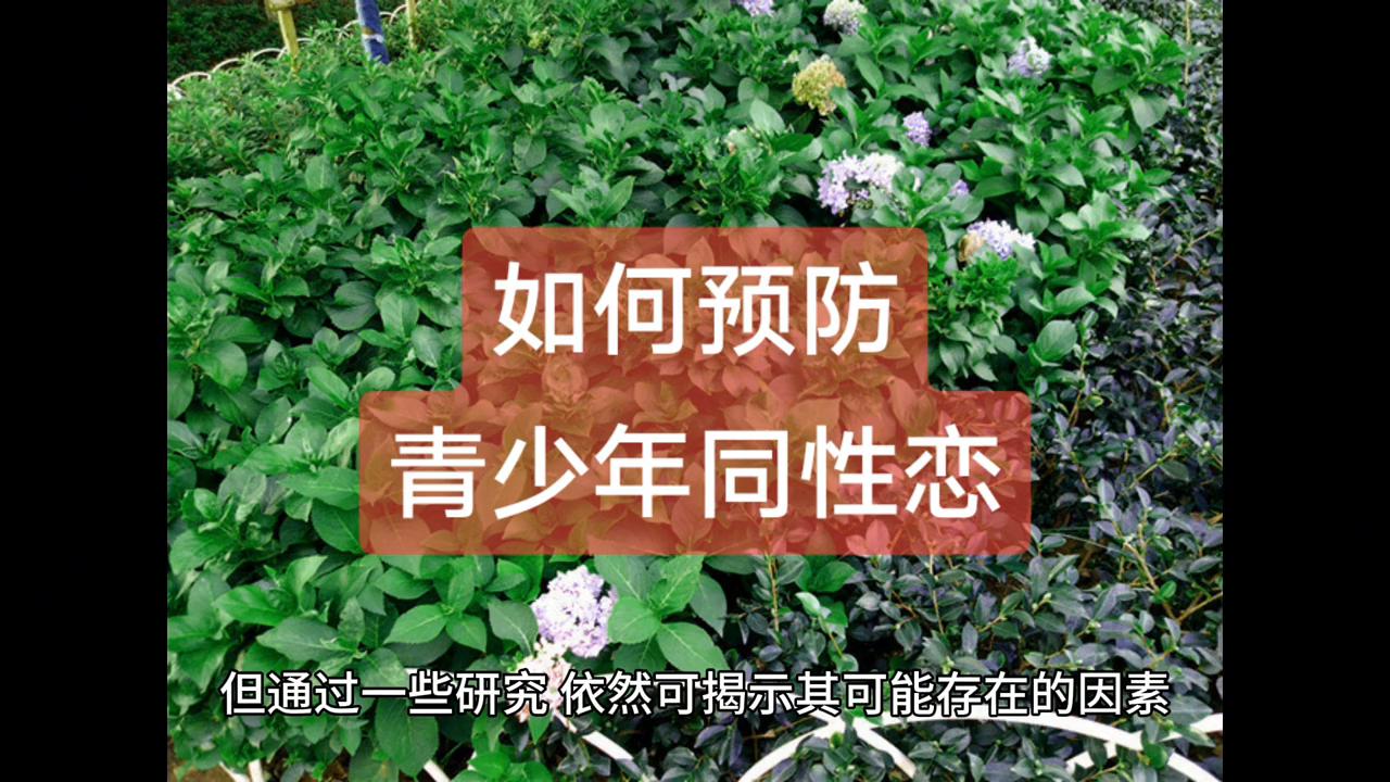 怎样预防青春期的孩子早恋,怎么预防青少年叛逆