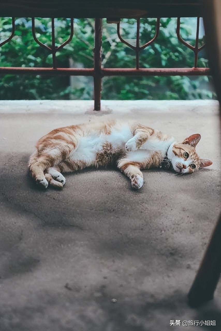 夏日海边微醺氛围感,滨城风光秀丽浪漫气息爆表