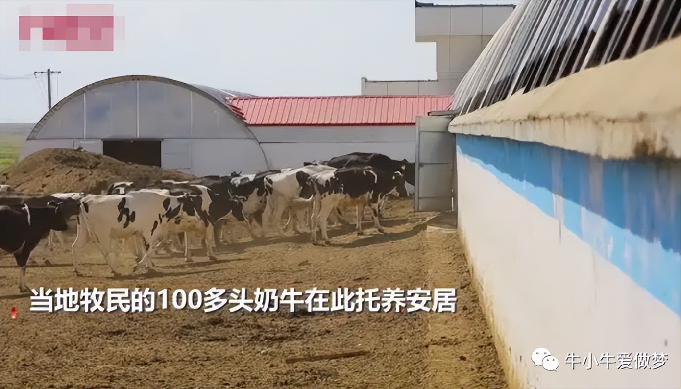 奶粉发展现状及原因,奶粉行业的谎言