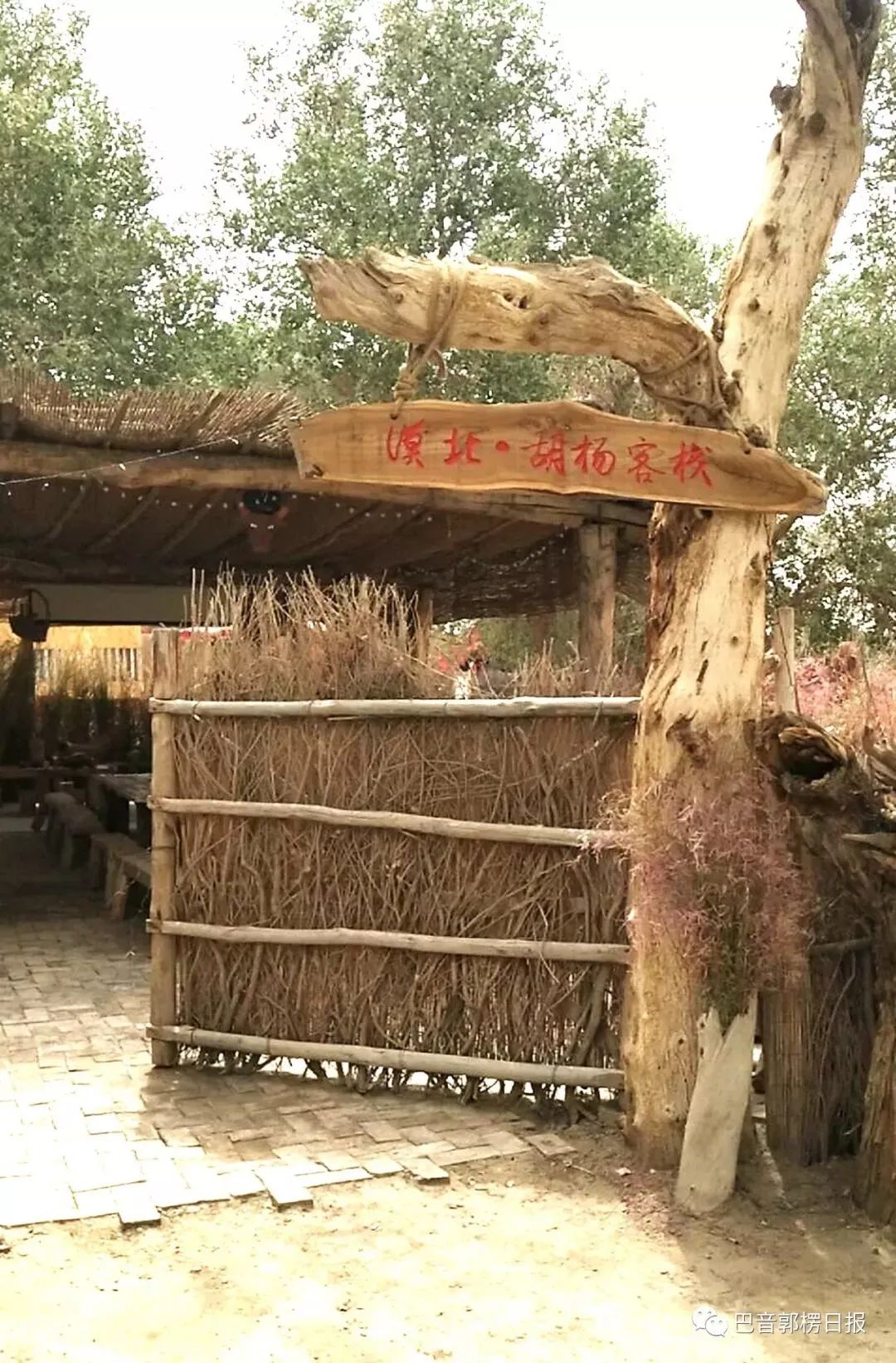 *疆新**多姿多彩的民宿，总有一款适合你！