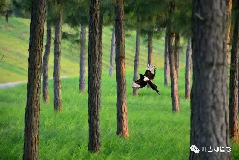 照片拍摄现场分享,说说摄影组照怎么拍摄