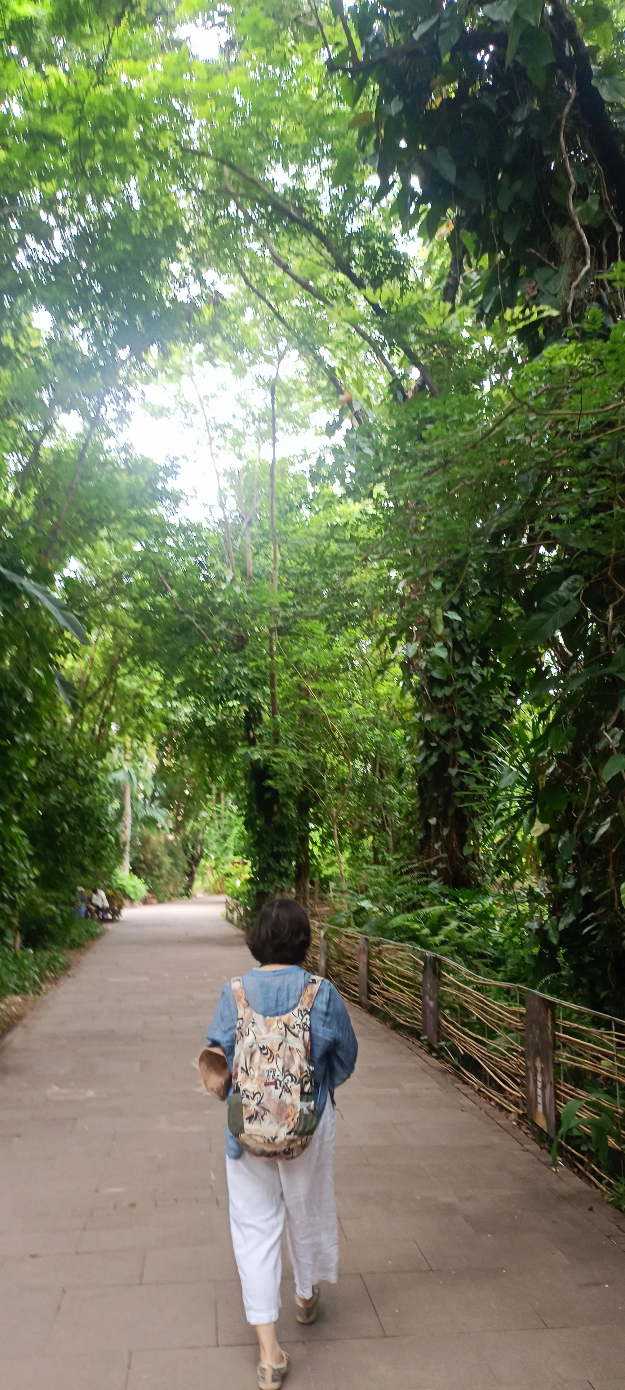 云南旅游10天自由行攻略,来一趟说走就走的云南之旅