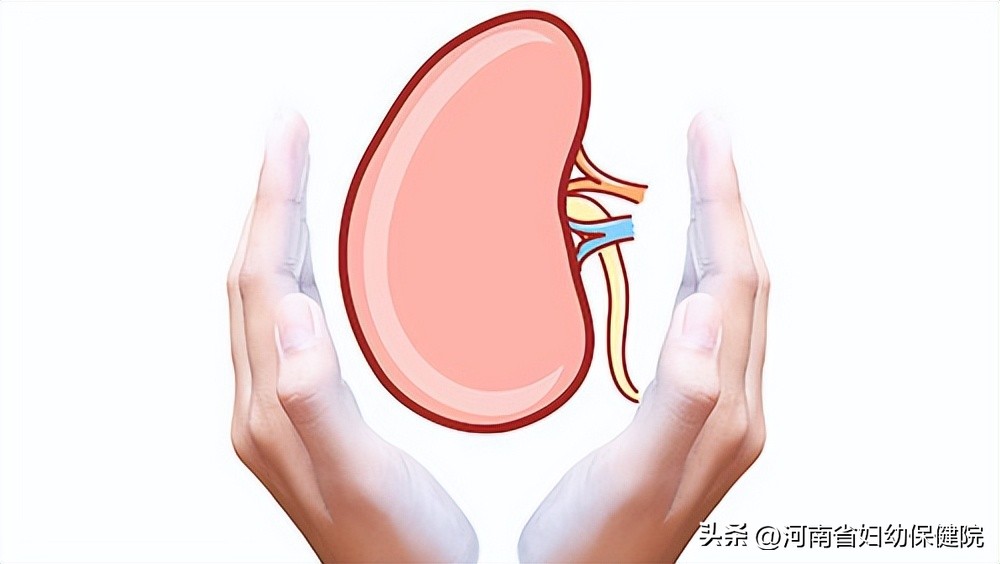 武汉婴儿肾积水去哪个医院看,胎儿肾积水尿道扩张