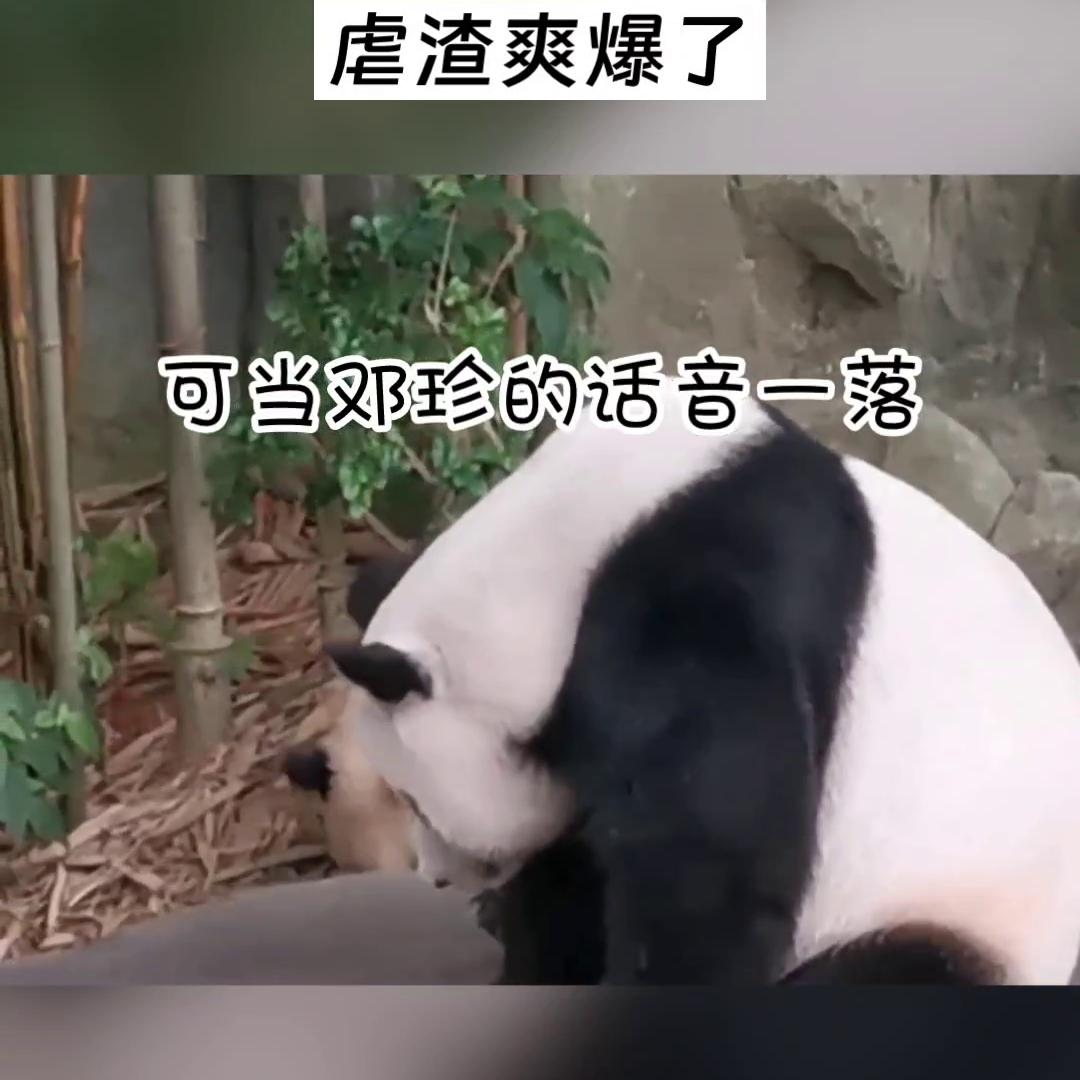 花花华晨宇,花花的世界