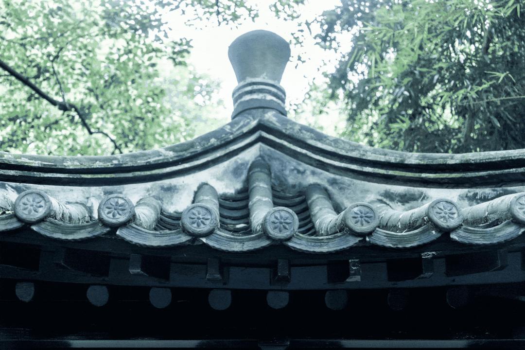 实用全上海532家公园攻略速速收藏,上海攻略必去的公园