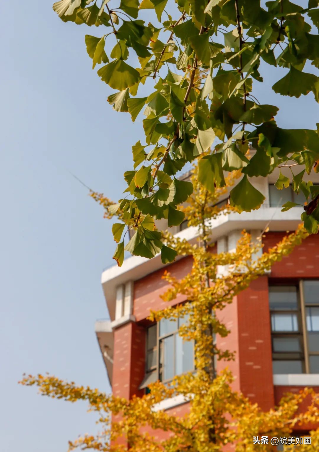 安徽大学好看的风景,高校最美秋景