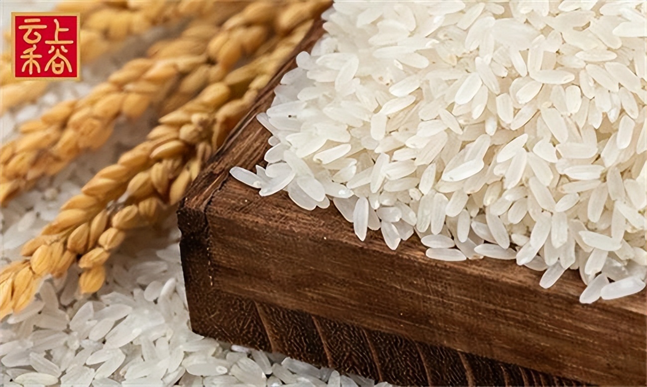 云上禾谷粮油怎么加盟,云上禾谷加盟利润