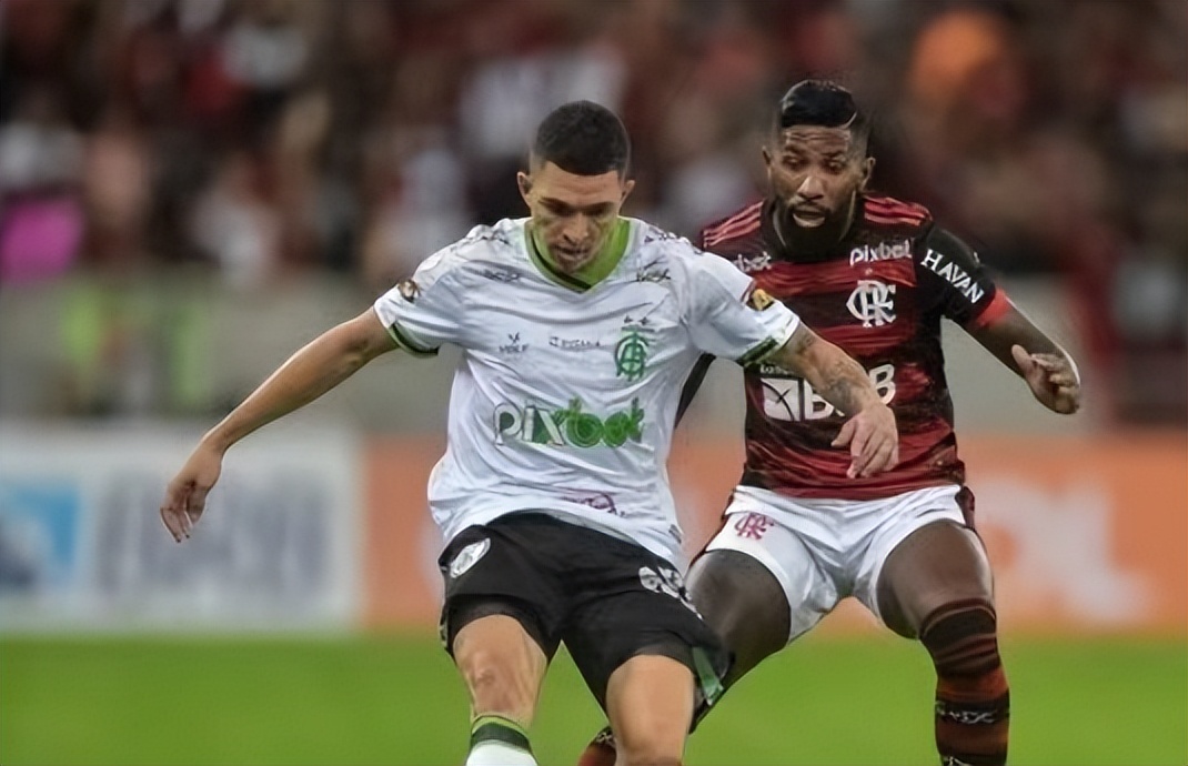 巴西杯米内罗竞技vs福塔雷萨,周四巴西杯圣保罗vs帕尔梅拉斯