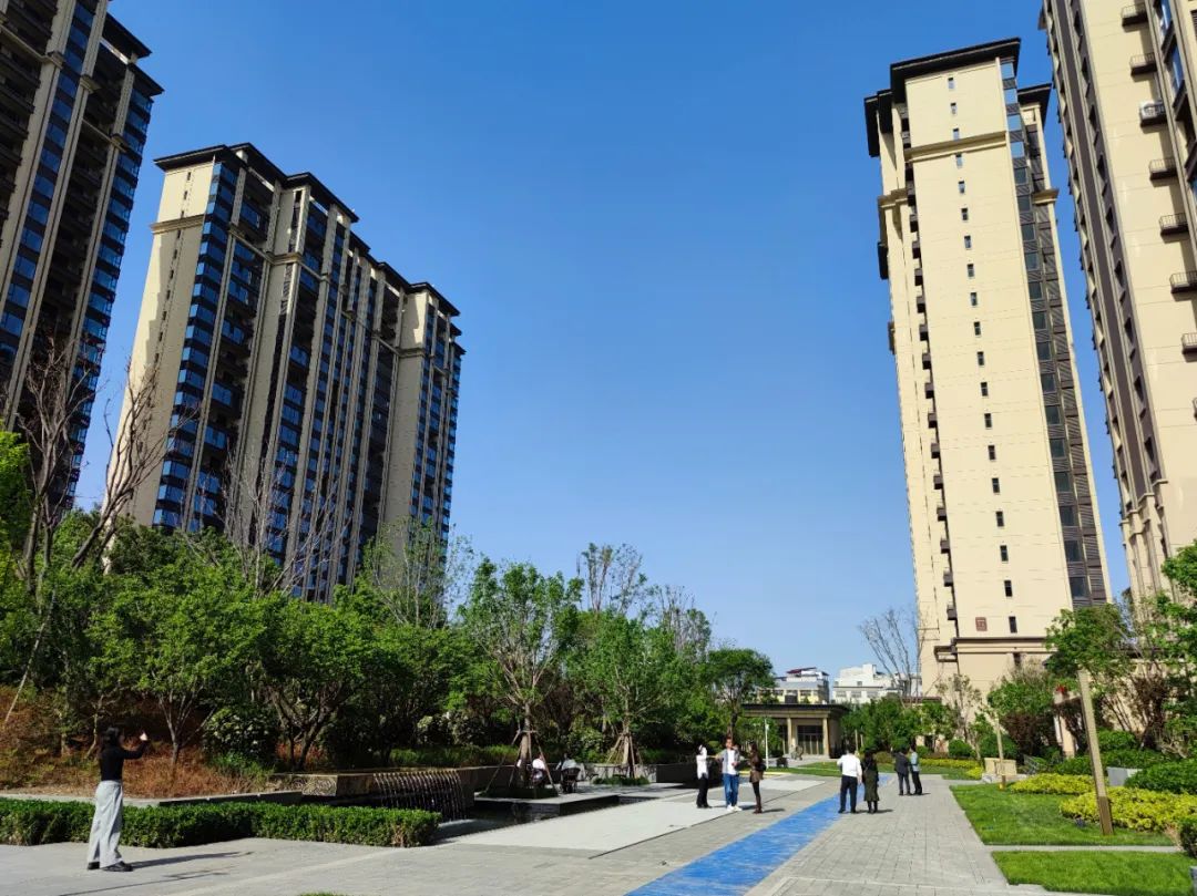 现象级热销红盘,红盘崛起机遇