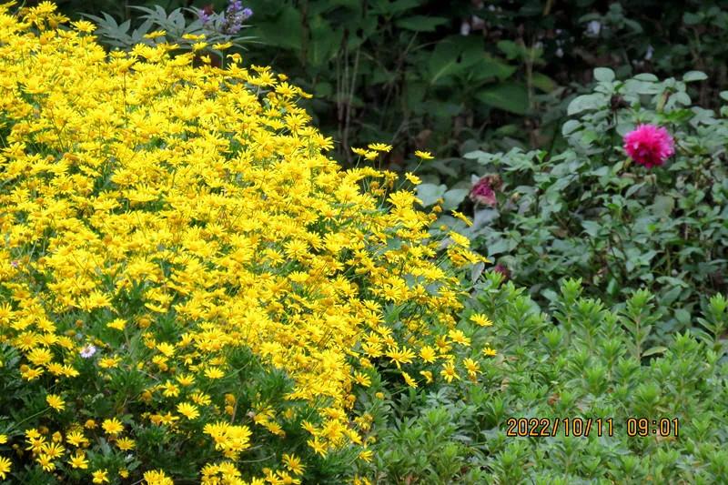 花溪小公园,美丽的花溪公园