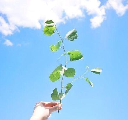 2023微信签名简短干净,2022的霸气气质正能量个性签名