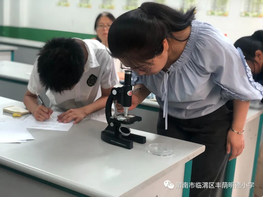 江苏省小学科学实验大赛,童心探科学逐梦创未来一等奖