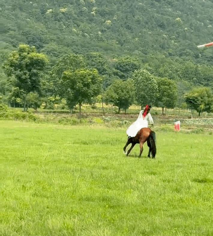 樊小慧变网红,樊小慧变装视频