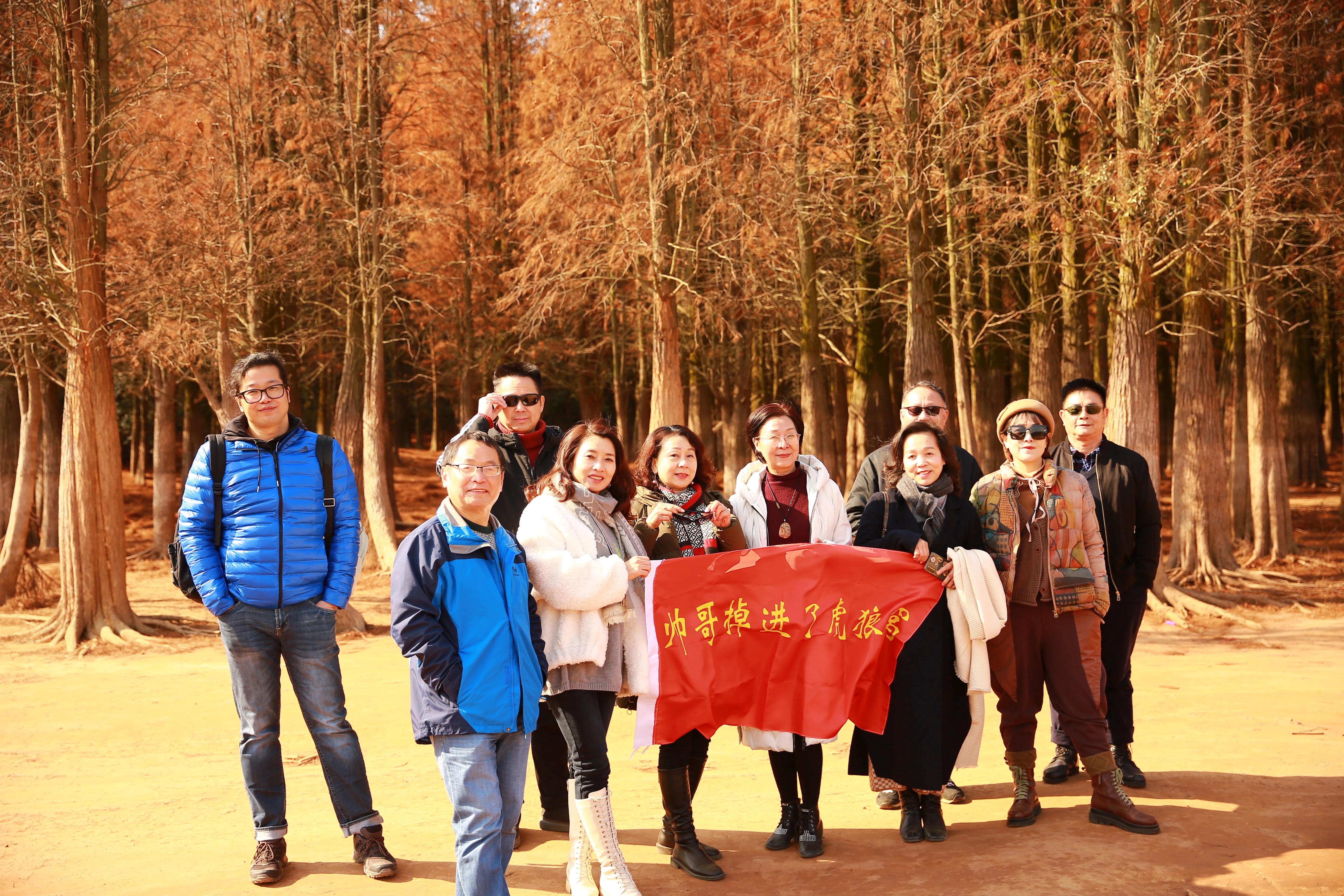 红杉林之恋,红杉林之恋完整版