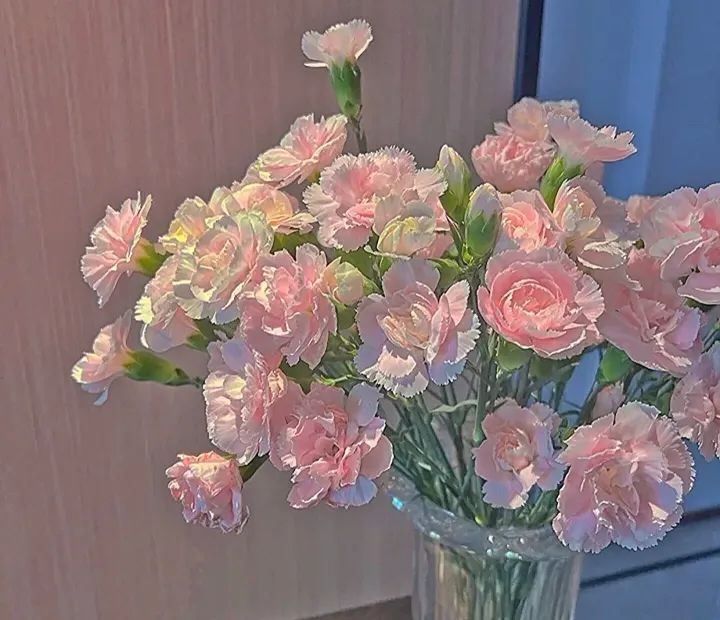 母亲节暖心文案祝福语幼儿,母亲节感恩文案暖心