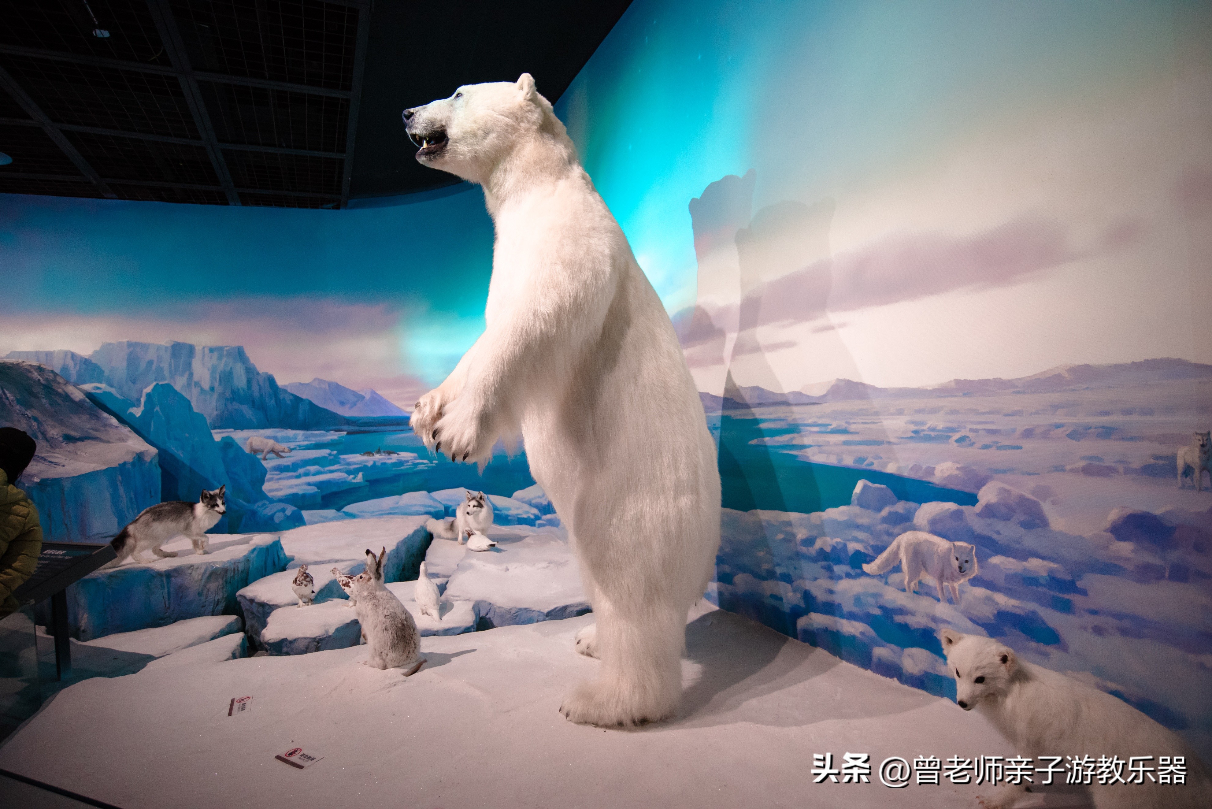 西安2023旅游攻略,2023年西安必去景点