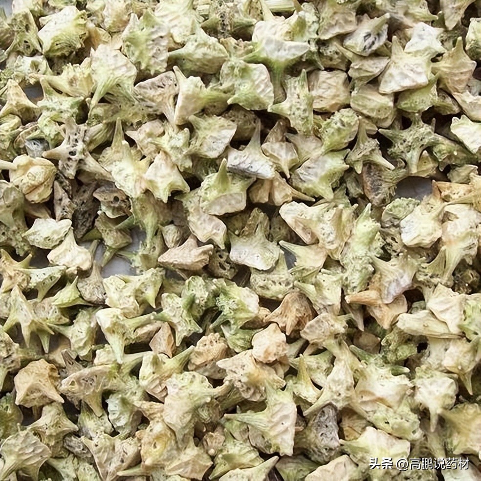 高鹏说药材:太子参、人参、柴胡、蛇床子、蒺藜等近期行情简析