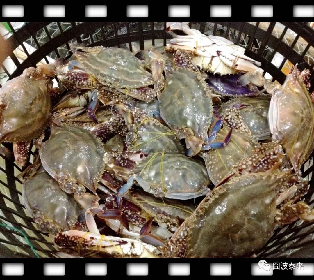 一碗鲜羊杂汤,热乎乎的一碗羊杂汤